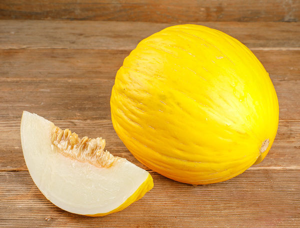 Melons Bianchetti à pulpe jaune